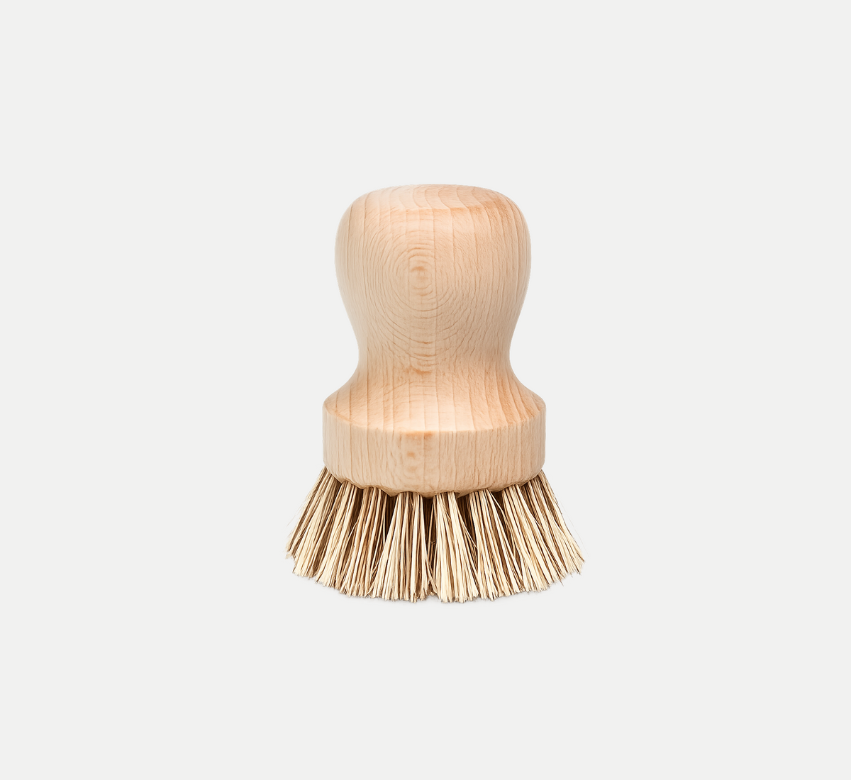 Dish Brush